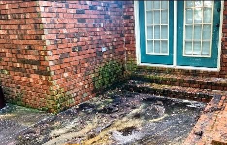 Brick steps and patio covered in mildew and dark stains before a D&Sons cleaning
